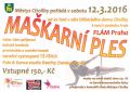 Maškarní ples - plakátek