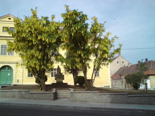 04&frasl;09 předzahrádky zámku