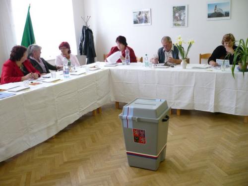 06&frasl;09 volby do Evropského parlamentu
