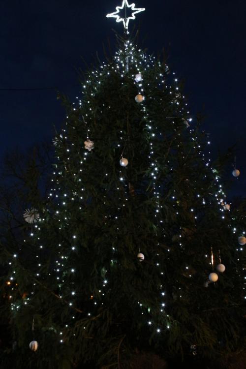 Rozsvícení vánočního stromu a vánoční trhy