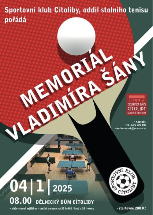 Memoriál Vladimíra Šány 1